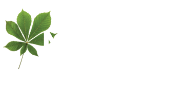 MLD Civil Engineering